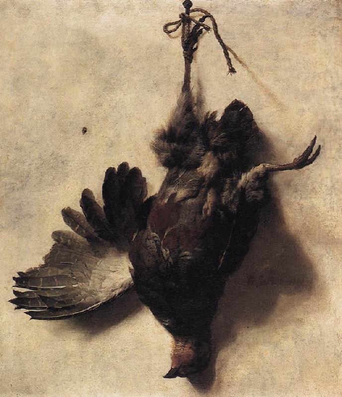 Dead Partridge, WEENIX, Jan Baptist